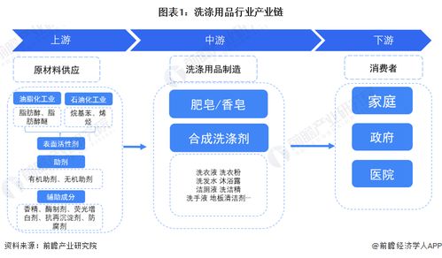 洗滌用品產業鏈全景梳理與區域布局分析 互聯網接入服務的融合與機遇
